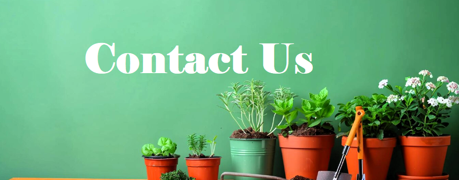 contact-us-img